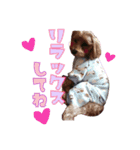 ビーちゃんスタンプ♡（個別スタンプ：3）