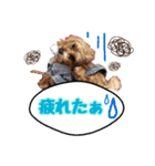 ビーちゃんスタンプ♡（個別スタンプ：6）