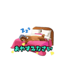 ビーちゃんスタンプ♡（個別スタンプ：7）