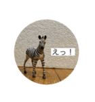 操り人形と生き物（個別スタンプ：8）