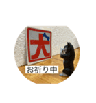 操り人形と生き物（個別スタンプ：9）