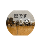 操り人形と生き物（個別スタンプ：12）