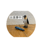 操り人形と生き物（個別スタンプ：13）