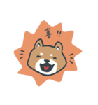 しばしば、柴犬。（個別スタンプ：1）