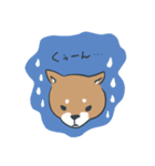 しばしば、柴犬。（個別スタンプ：3）