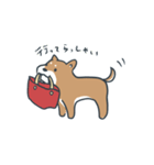 しばしば、柴犬。（個別スタンプ：20）