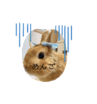 Coco2924（個別スタンプ：1）