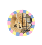 Coco2924（個別スタンプ：3）