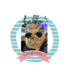 Coco2924（個別スタンプ：4）