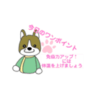 わんドクター（個別スタンプ：12）