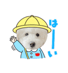 愛犬なぎちゃんのスタンプ（個別スタンプ：1）