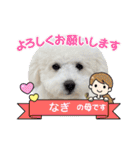 愛犬なぎちゃんのスタンプ（個別スタンプ：2）