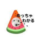 愛犬なぎちゃんのスタンプ（個別スタンプ：6）