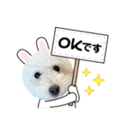 愛犬なぎちゃんのスタンプ（個別スタンプ：7）