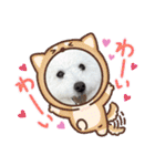 愛犬なぎちゃんのスタンプ（個別スタンプ：9）