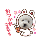 愛犬なぎちゃんのスタンプ（個別スタンプ：15）