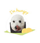 愛犬なぎちゃんのスタンプ（個別スタンプ：16）