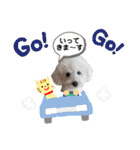 愛犬なぎちゃんのスタンプ（個別スタンプ：17）