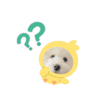 愛犬なぎちゃんのスタンプ（個別スタンプ：18）