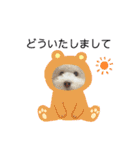 愛犬なぎちゃんのスタンプ（個別スタンプ：19）