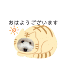 愛犬なぎちゃんのスタンプ（個別スタンプ：21）