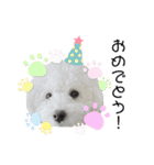 愛犬なぎちゃんのスタンプ（個別スタンプ：28）