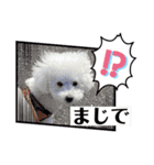 愛犬なぎちゃんのスタンプ（個別スタンプ：31）
