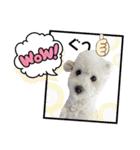 愛犬なぎちゃんのスタンプ（個別スタンプ：32）