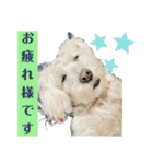 haruちゃんのお家（個別スタンプ：4）