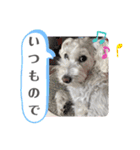 haruちゃんのお家（個別スタンプ：6）