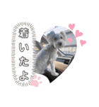 haruちゃんのお家（個別スタンプ：7）