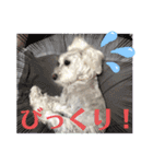 haruちゃんのお家（個別スタンプ：15）