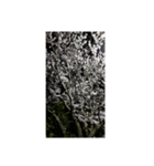 さくら舞い散る中に忘れた記憶と記録（個別スタンプ：18）