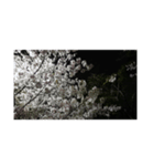 さくら舞い散る中に忘れた記憶と記録（個別スタンプ：21）