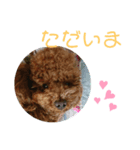 ティナのスタンプ16（個別スタンプ：1）
