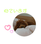 ティナのスタンプ16（個別スタンプ：2）
