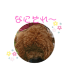 ティナのスタンプ16（個別スタンプ：3）