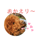 ティナのスタンプ16（個別スタンプ：6）