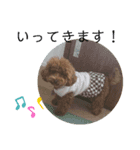 ティナのスタンプ16（個別スタンプ：7）