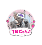 いるにすさんのスタンプ ₄（個別スタンプ：20）