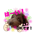 Australian Labradoodle Lutzの日常3（個別スタンプ：3）