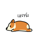 かわいいコーギー犬.（個別スタンプ：11）