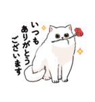 もふもふの白い猫（個別スタンプ：1）