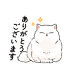 もふもふの白い猫（個別スタンプ：2）
