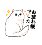 もふもふの白い猫（個別スタンプ：4）