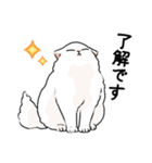 もふもふの白い猫（個別スタンプ：10）