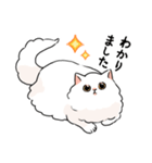 もふもふの白い猫（個別スタンプ：11）