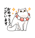 もふもふの白い猫（個別スタンプ：15）
