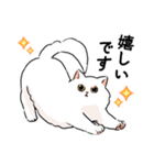 もふもふの白い猫（個別スタンプ：19）