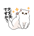 もふもふの白い猫（個別スタンプ：23）